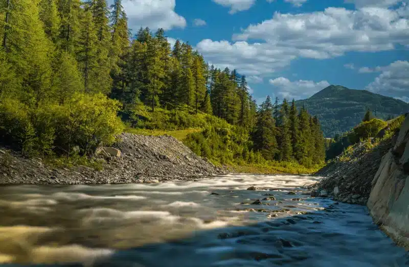 A importância hídrica da floresta boreal