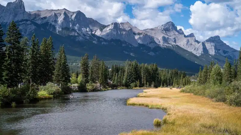 Floresta Boreal: 15 fatos curiosos