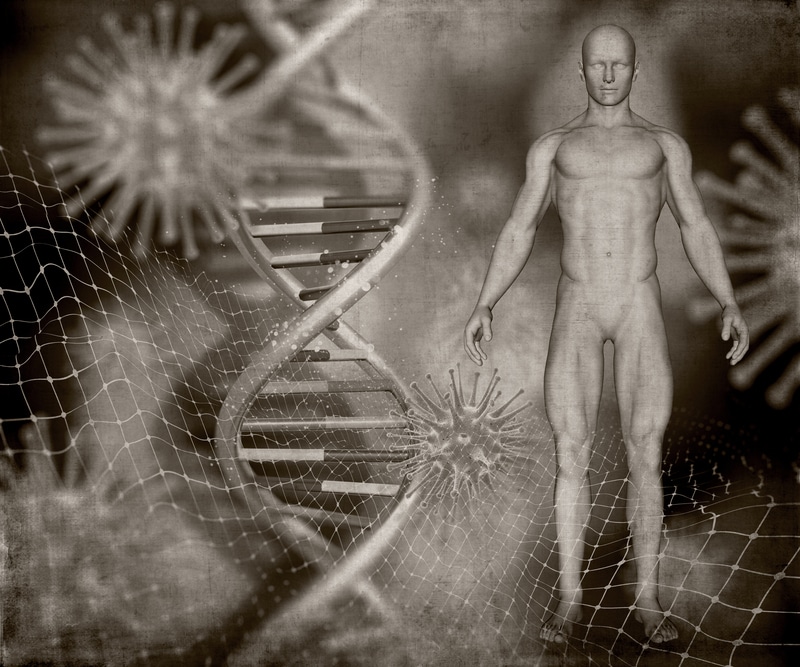 Amostras de DNA Mais Antigas