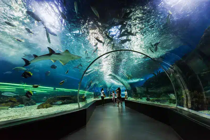 Dubai Mall e o Dubai Aquarium