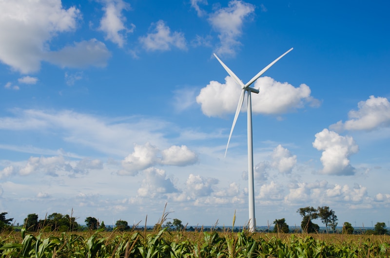 Impacto ambiental positivo da energia eólica